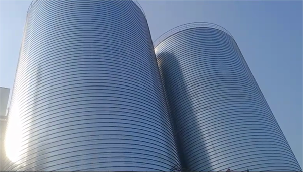 洪湖2座混凝土高架卷板仓